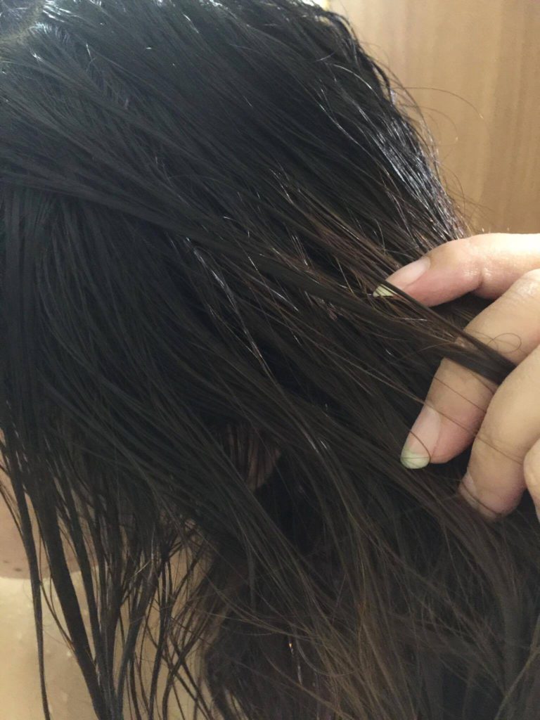 康綺墨麗珍氣系列 洗髮 護髮 菖蒲水添加 33%草本植萃 天然草本 深層修復 絲滑柔順 即刻擁有 保養品分享 民生資訊分享 美髮相關