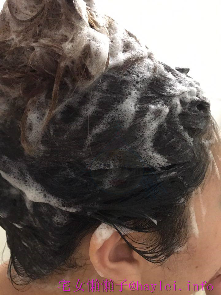 Aromase 艾瑪絲-專業解放頭皮困擾的深層對策!少些負擔,人更清爽! 去屑止癢洗髮精、5α捷利爾頭皮淨化液 保養品分享 健康養身 民生資訊分享 美髮相關