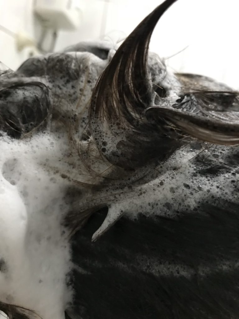 shampoo/OGX/摩洛哥堅果油新生修護洗髮精-秋冬用這來預防髮質受損很不錯 保養品分享 攝影 民生資訊分享 美髮相關