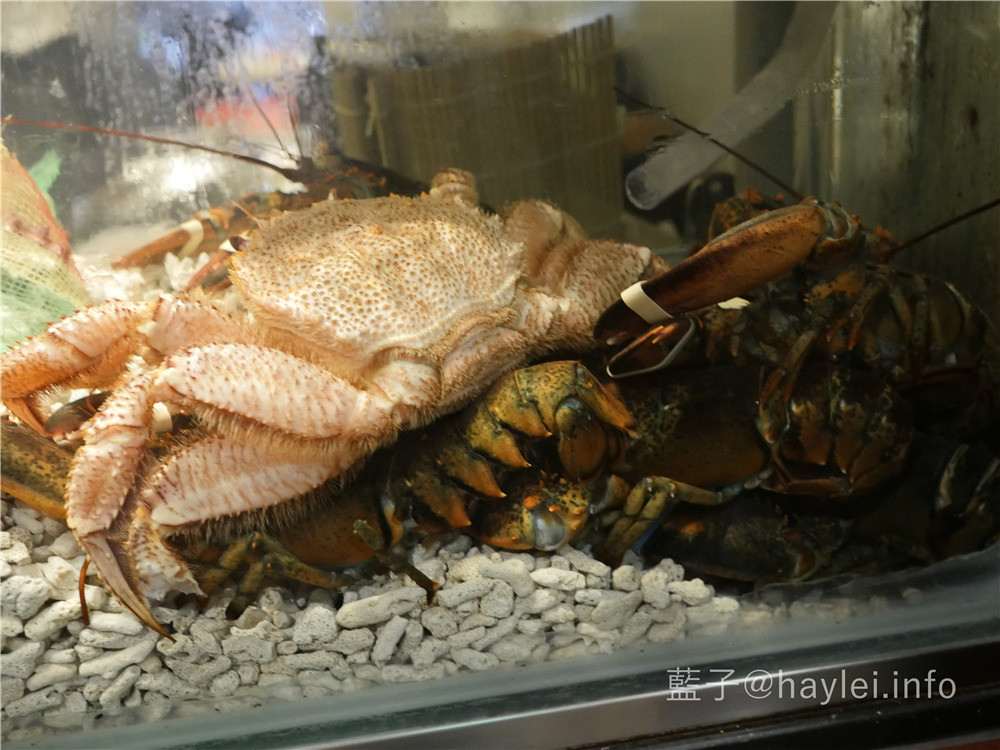 心月懷石日本料理- 精緻華美的懷石料理不用飛日本,在台灣就能享受,連外國人都稱讚這是台北必訪高級餐廳!台北日本料理/台北信義區美食/101附近美食/世貿美食/商務聚餐/志明師/無菜單料理 健康養身 攝影 日式料理 民生資訊分享 飲食集錦