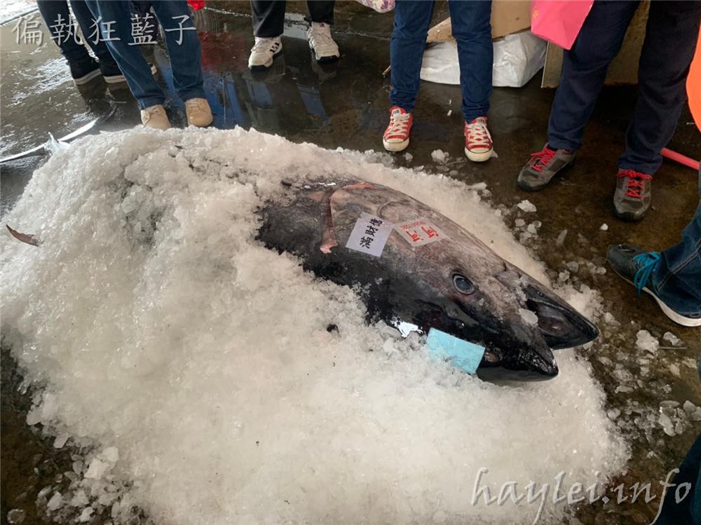 屏東旅遊/屏東黑鮪魚文化觀光季,一起來場東港深度體驗小旅行,兩小時499元,暢遊東港美食跟深入了解在地廟宇文化兩種路線任你選,讓在地人帶你小鎮漫遊,品味在地的豐富風情! 中式料理 國內外住宿相關 攝影 民生資訊分享 飲食集錦