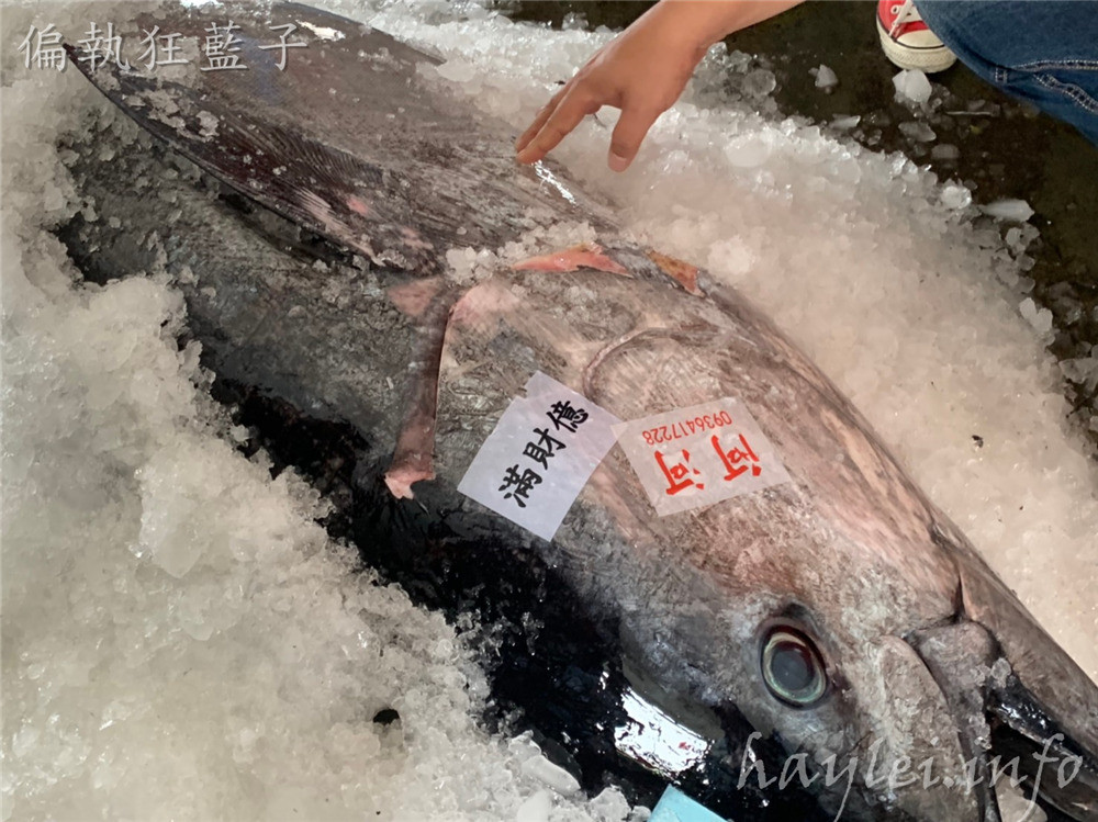 屏東旅遊/屏東黑鮪魚文化觀光季,一起來場東港深度體驗小旅行,兩小時499元,暢遊東港美食跟深入了解在地廟宇文化兩種路線任你選,讓在地人帶你小鎮漫遊,品味在地的豐富風情! 中式料理 國內外住宿相關 攝影 民生資訊分享 飲食集錦