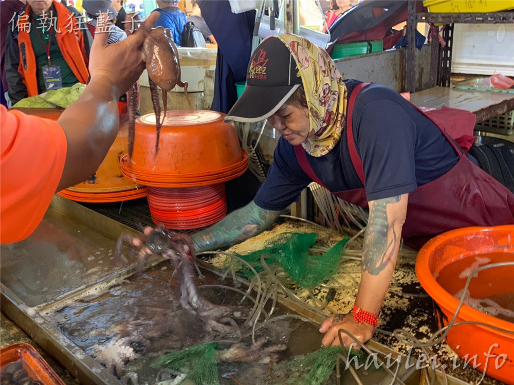 屏東旅遊/屏東黑鮪魚文化觀光季,一起來場東港深度體驗小旅行,兩小時499元,暢遊東港美食跟深入了解在地廟宇文化兩種路線任你選,讓在地人帶你小鎮漫遊,品味在地的豐富風情! 中式料理 國內外住宿相關 攝影 民生資訊分享 飲食集錦