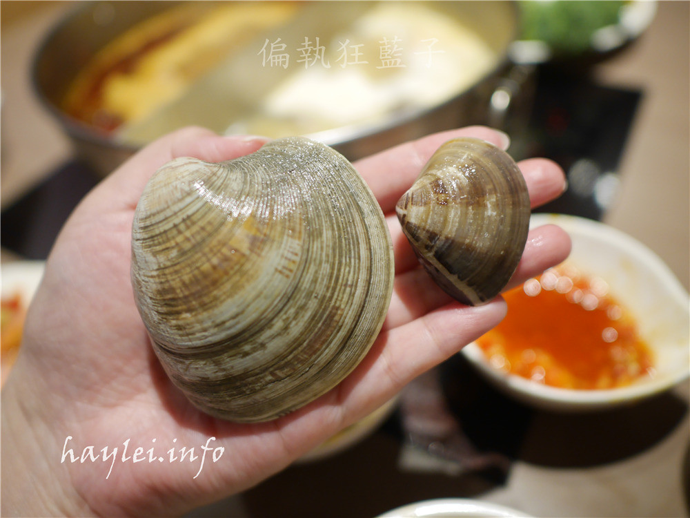 台北三重美食/忠孝橋下的麻妃頂極麻辣鴛鴦鍋-雙人海陸大戰雙人套餐超新鮮,海鮮又嫩又甜吃得超過癮!加了馬告的麻辣湯搭上時蔬湯的鴛鴦鍋味道很好,最後煮的雜炊粥綿香餘韻令人滿足~三重麻辣鍋推薦/頂級麻辣鍋/高cp值麻辣鍋/台北麻辣鍋推薦/台北火鍋推薦/鴛鴦火鍋/台北火鍋推薦/台北精緻涮涮鍋/台北壽喜燒/野生天使紅蝦/超大份量肉盤/麻妃麻妃頂極麻辣鴛鴦鍋菜單 中式料理 攝影 民生資訊分享 飲食集錦