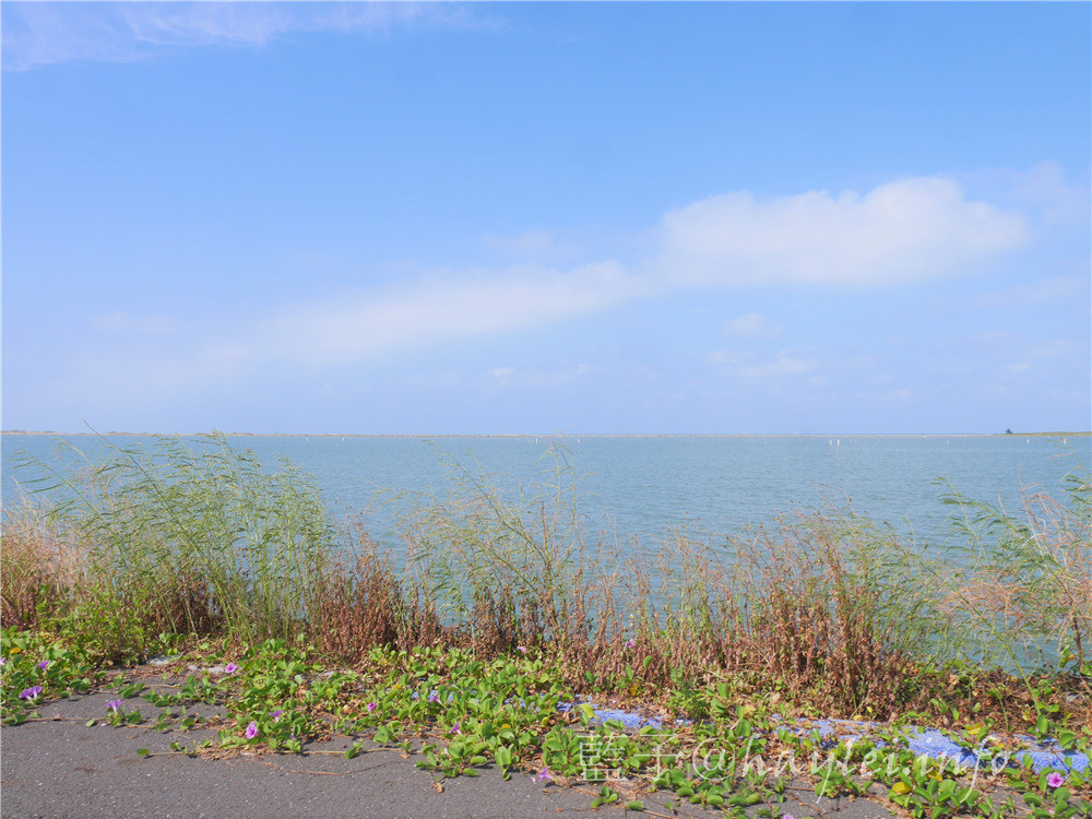 雲嘉南穆斯林友善旅遊環境-雲嘉南濱海國家風景區好好玩,享受暢遊台灣的美好時光!台灣旅遊/穆斯林旅遊景點推薦/雲嘉南旅遊/雲嘉南濱海美食旅遊/景點推薦/Taiwan tourism/travel in Taiwan/Muslim-friendly Environment/Muslim people’s dining and praying habits/北門、布袋及口湖遊客中心/鹽鄉民宿/布袋文創HOTEL/三立戲劇場景/蒜頭糖廠蔗埕文化園區/用九柑仔店/嘉義縣六腳鄉潭墘村/向禾休閒漁場/喔熊藝術村/箔子寮臺灣好神3D彩繪村/林家烏魚子/三股社區活動中心時光的迴聲實境遊戲/黑皮肉圓/樺榮海鮮餐廳/北門嶼輕食風味餐廳 中式料理 國內外住宿相關 國內旅遊 攝影 民生資訊分享 自己動手做! 飲食集錦