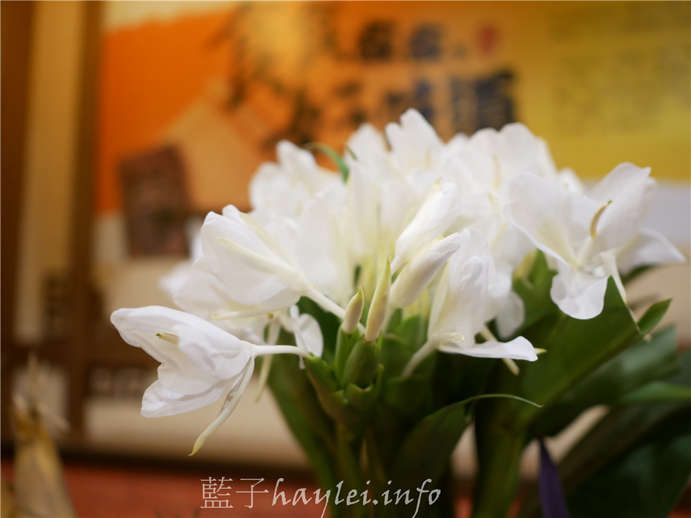 台中國際花毯節美食-會場內不容錯過由名廚鄧玲如與太平農會家政班媽媽結合在地農產共同研發的特色美食-五朵花才能做1根的蝴蝶花香腸，12/1前一起享受漫遊唇間的野薑花香吧！（攤位224號）～台中新社花毯節交通資訊/中台灣農業博覽會/台中美食/台中小吃/特色農產伴手禮推薦/台中在地農產/野薑花香腸/蝴蝶花伴手禮/麻竹筍/荔枝酒/貴妃醉香腸/東坡筍香腸/台中香腸美食/太平農會/寧菠小館/生態廚師鄧玲如 中式料理 國內旅遊 攝影 民生資訊分享 飲食集錦 