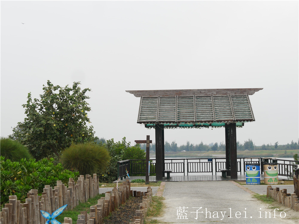 雲林口湖/椬梧滯洪池(Yiwu Wet Pond)-口湖自然生態地標,雲林版小日月潭秘境景點,ig打卡秘境、雲林私房景點推薦!雲嘉南好好玩/雲嘉南旅遊/雲林海線/雲林旅遊/口湖鄉景點推薦/藍子愛旅行 國內旅遊 攝影 民生資訊分享