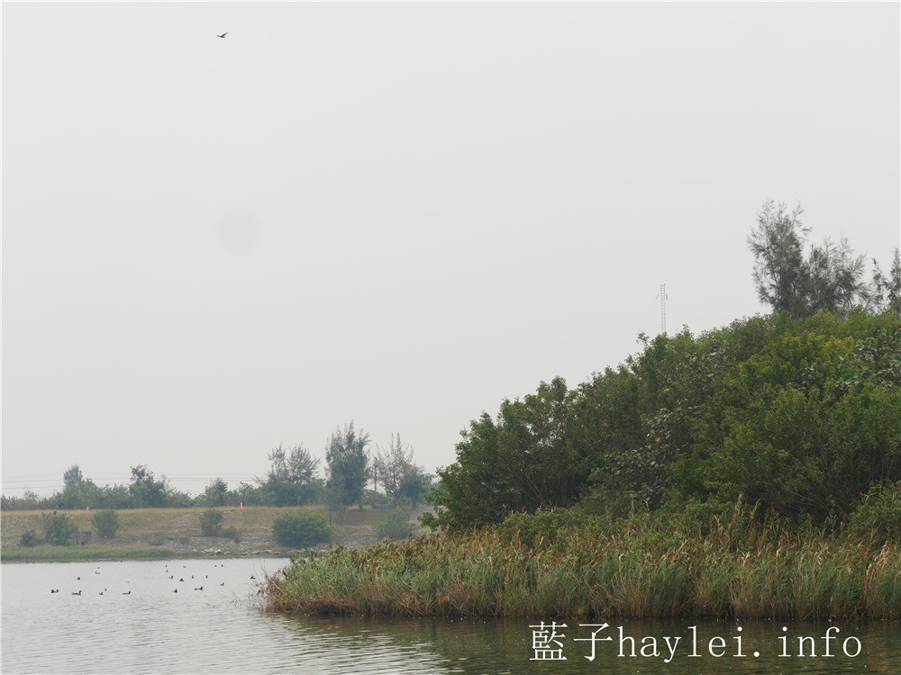 雲林口湖/椬梧滯洪池(Yiwu Wet Pond)-口湖自然生態地標,雲林版小日月潭秘境景點,ig打卡秘境、雲林私房景點推薦!雲嘉南好好玩/雲嘉南旅遊/雲林海線/雲林旅遊/口湖鄉景點推薦/藍子愛旅行 國內旅遊 攝影 民生資訊分享