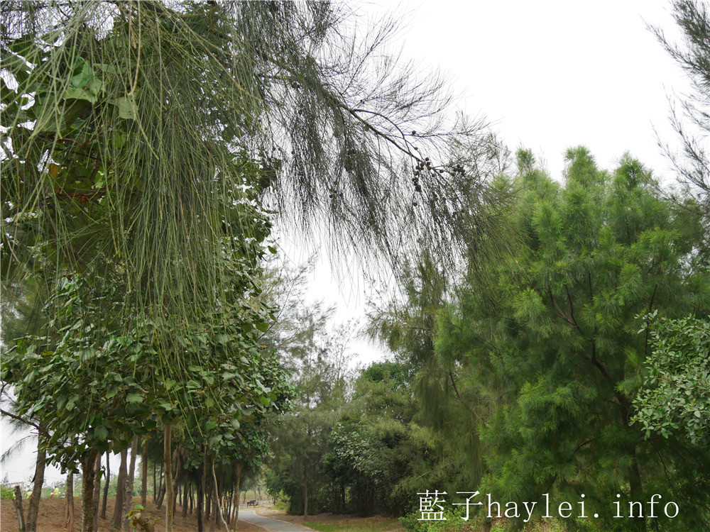 雲林口湖/椬梧滯洪池(Yiwu Wet Pond)-口湖自然生態地標,雲林版小日月潭秘境景點,ig打卡秘境、雲林私房景點推薦!雲嘉南好好玩/雲嘉南旅遊/雲林海線/雲林旅遊/口湖鄉景點推薦/藍子愛旅行 國內旅遊 攝影 民生資訊分享