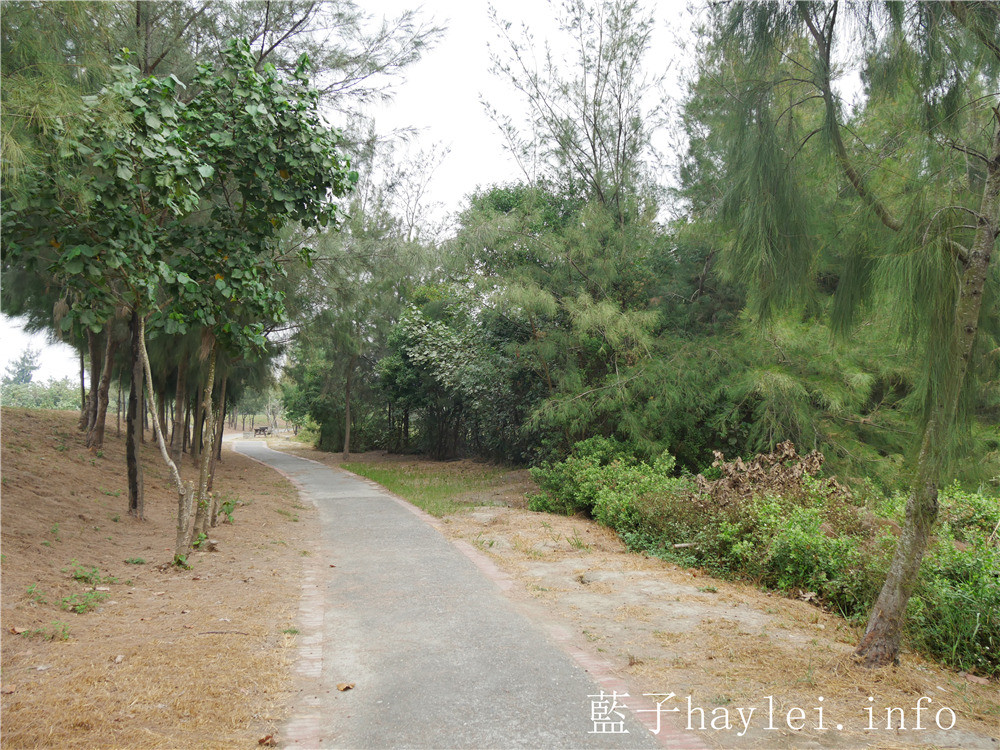 雲林口湖/椬梧滯洪池(Yiwu Wet Pond)-口湖自然生態地標,雲林版小日月潭秘境景點,ig打卡秘境、雲林私房景點推薦!雲嘉南好好玩/雲嘉南旅遊/雲林海線/雲林旅遊/口湖鄉景點推薦/藍子愛旅行 國內旅遊 攝影 民生資訊分享