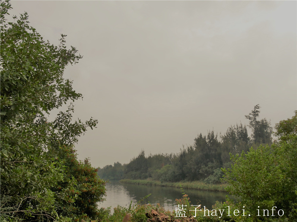 雲林口湖/椬梧滯洪池(Yiwu Wet Pond)-口湖自然生態地標,雲林版小日月潭秘境景點,ig打卡秘境、雲林私房景點推薦!雲嘉南好好玩/雲嘉南旅遊/雲林海線/雲林旅遊/口湖鄉景點推薦/藍子愛旅行 國內旅遊 攝影 民生資訊分享