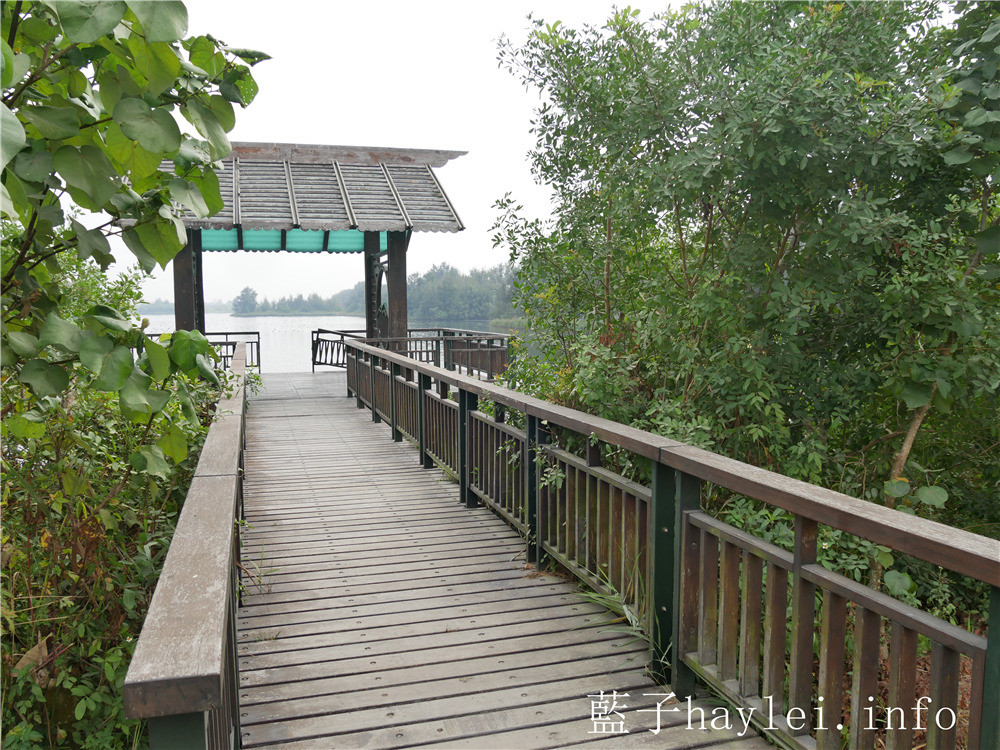 雲林口湖/椬梧滯洪池(Yiwu Wet Pond)-口湖自然生態地標,雲林版小日月潭秘境景點,ig打卡秘境、雲林私房景點推薦!雲嘉南好好玩/雲嘉南旅遊/雲林海線/雲林旅遊/口湖鄉景點推薦/藍子愛旅行 國內旅遊 攝影 民生資訊分享