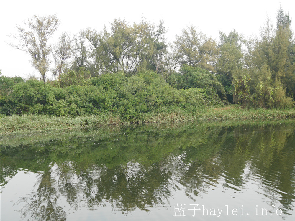 雲林口湖/椬梧滯洪池(Yiwu Wet Pond)-口湖自然生態地標,雲林版小日月潭秘境景點,ig打卡秘境、雲林私房景點推薦!雲嘉南好好玩/雲嘉南旅遊/雲林海線/雲林旅遊/口湖鄉景點推薦/藍子愛旅行 國內旅遊 攝影 民生資訊分享