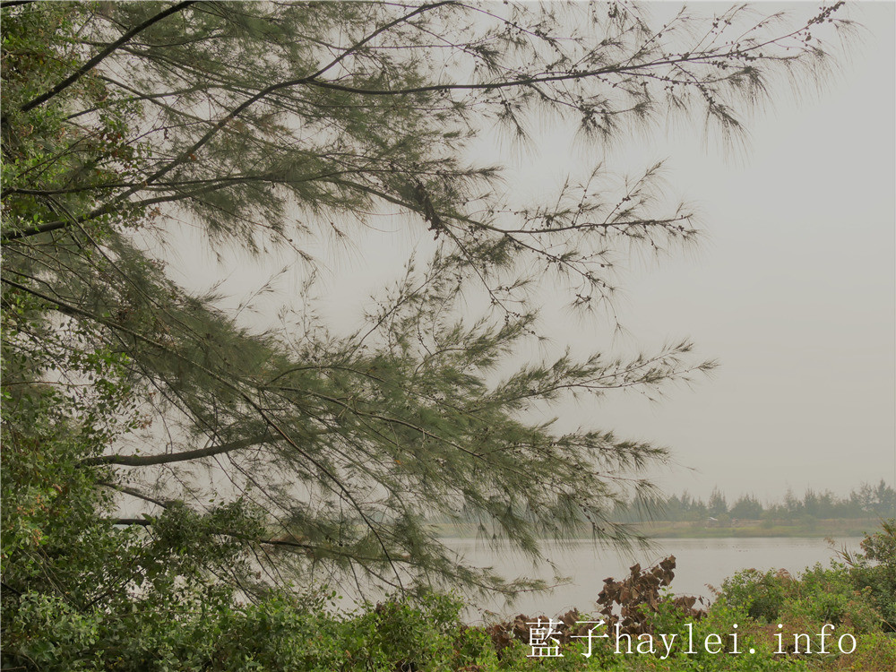 雲林口湖/椬梧滯洪池(Yiwu Wet Pond)-口湖自然生態地標,雲林版小日月潭秘境景點,ig打卡秘境、雲林私房景點推薦!雲嘉南好好玩/雲嘉南旅遊/雲林海線/雲林旅遊/口湖鄉景點推薦/藍子愛旅行 國內旅遊 攝影 民生資訊分享