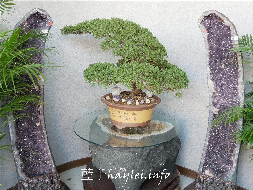 台中西屯/京典臻品JD Classic天然水晶-如何挑選紫晶洞、適合自己的水晶怎麼買,開運招財水晶這裡看最超值!專營烏拉圭紫水晶洞、巴西晶洞、聚寶盆、發財樹、恐龍蛋跟意象水晶等天然礦石。台中水晶/批發水晶大盤商/水晶洞批發/瑪瑙聚寶盆/鈦晶/黃水晶/茶晶/開口笑水晶/水晶雕件/水晶手珠/水晶手排/改善屋內風水/聚氣開運招正財/藍子愛美麗 攝影 民生資訊分享 紓發緒感