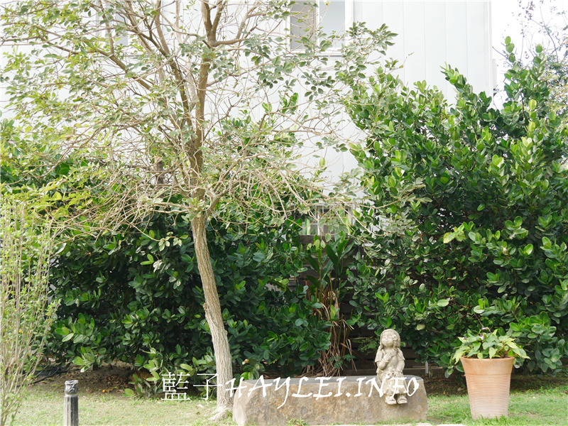 台中大雅/下午茶美食/Petit Forêt 小林煎餅x富林園洋菓子(PF洋菓子森林)-在復古鄉村風城堡享受柔滑乳酪派、雙層起司蛋糕、葉子派餅乾等幸福甜點,感受南法的慢活與悠閒~台中美食/台中景點/台中下午茶/台中城堡風咖啡廳/南法風城堡/台中甜點/大雅美食/大雅下午茶/甜點蛋糕/餅乾點心/結婚禮盒推薦/客製化喜餅/台中餐廳/台中好拍下午茶/藍子愛美食 國內旅遊 攝影 民生資訊分享 飲食集錦
