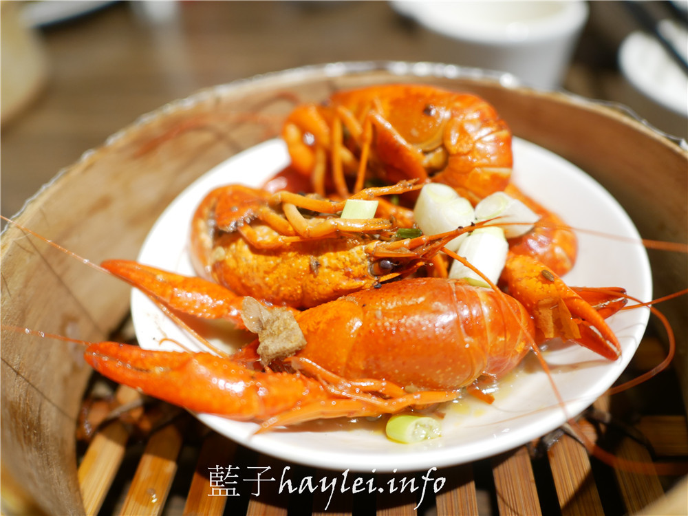 台北中正區/三創美食/港點大師(台北三創店)-座位寬敞舒適,港式飲茶鮮香美味,在台北想吃美味港點都會想到這裡!台北美食/市民大道美食/台北港點推薦/港式料理/港式點心推薦/煲仔飯/腸粉/煲粥/燒賣/奶皇包/蓮花茶/Syntrend三創生活園區/藍子愛美食 中式料理 國內旅遊 攝影 民生資訊分享 飲食集錦