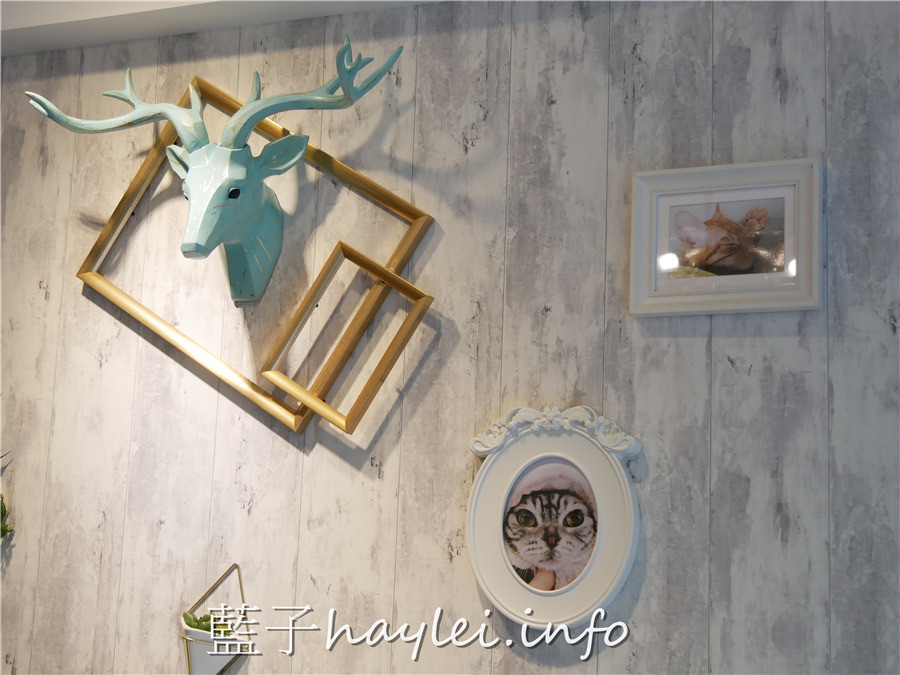 台北松山/中山國中站美食/夏綠蒂·小私廚/à table chez Charlotte-原夏綠地咖啡,環境舒適,食材新鮮且口味絕佳,約會聚餐好選擇~義大利麵燉飯、甜點下午茶都是手工現做!台北美食餐廳/松山美食/義式料理/客製化餐點/手工甜點/下午茶/雙人鬆餅午茶套餐/鐵觀音茶風鬆餅/松露野菇燉飯/明太子義大利麵/不收服務費/西式料理/台北旅遊/藍子愛美食 國內旅遊 攝影 民生資訊分享 飲食集錦