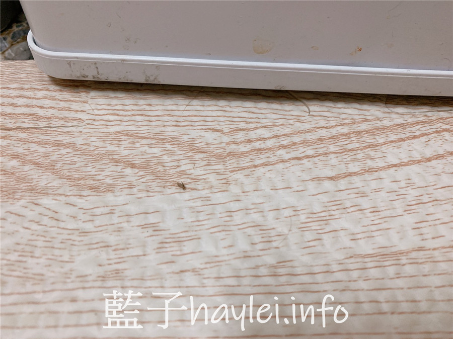 居家清潔/速必效強滲煙寶-用水煙殺蟲的水蒸式殺蟲劑,有效驅蟑、防蚊滅蚊一把罩,居家生活更安心!一個人生活/環境衛生/維護環境/防範蚊蟲/健康生活/室內防蟲/室內驅蟲/室內專用水煙產品/除蟲菊精製成的殺蟲劑產品/速必效評價/水煙評價/白色煙霧藥劑/藍子愛生活 健康養身 國內外住宿相關 攝影 民生資訊分享