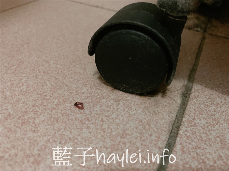 居家清潔/速必效強滲煙寶-用水煙殺蟲的水蒸式殺蟲劑,有效驅蟑、防蚊滅蚊一把罩,居家生活更安心!一個人生活/環境衛生/維護環境/防範蚊蟲/健康生活/室內防蟲/室內驅蟲/室內專用水煙產品/除蟲菊精製成的殺蟲劑產品/速必效評價/水煙評價/白色煙霧藥劑/藍子愛生活 健康養身 國內外住宿相關 攝影 民生資訊分享