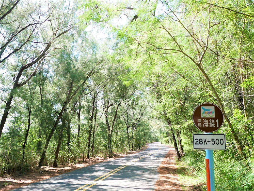 雲林景點/萡子寮濱海遊憩區(萡子寮漁港) -藍天白雲下,沙丘、風車演繹出獨特美景,網美拍照秘境!雲嘉南旅遊/雲嘉南景點/雲嘉南濱海國家風景區/雲林口湖旅遊推薦/網美打卡/秘境聖地/漁港景點推薦/南臺灣觀光/台灣漁港/臺灣旅遊景點推薦/雲林免費景點/藍子愛旅遊 國內旅遊 攝影 民生資訊分享