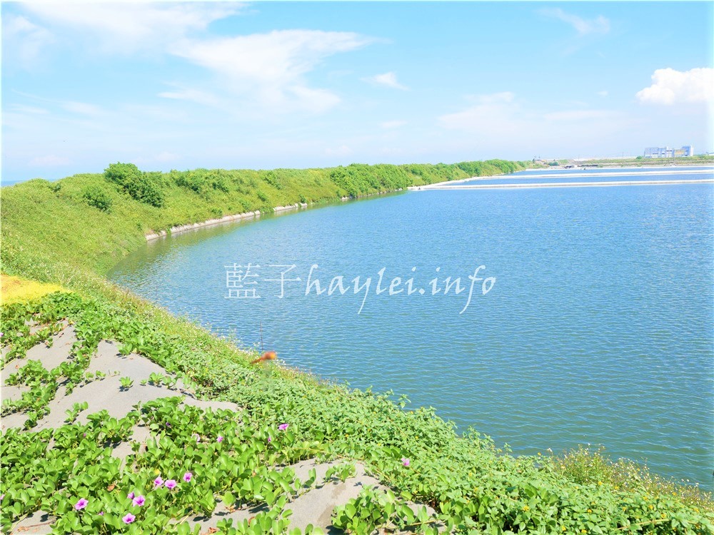 雲林景點/萡子寮濱海遊憩區(萡子寮漁港) -藍天白雲下,沙丘、風車演繹出獨特美景,網美拍照秘境!雲嘉南旅遊/雲嘉南景點/雲嘉南濱海國家風景區/雲林口湖旅遊推薦/網美打卡/秘境聖地/漁港景點推薦/南臺灣觀光/台灣漁港/臺灣旅遊景點推薦/雲林免費景點/藍子愛旅遊 國內旅遊 攝影 民生資訊分享