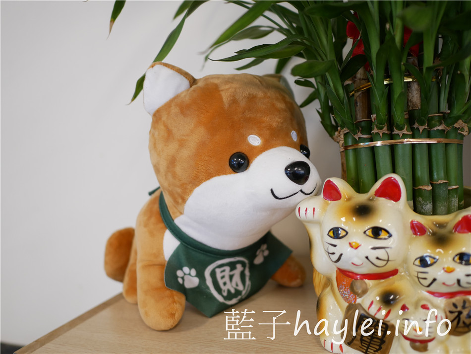 今天吃什麼/嘉義西區/旺柴燒肉屋-露天環境寬敞放鬆,專人烤肉不會手忙腳亂怕燒焦,樣樣品質有把關,新鮮現點現烤不回烤,品嘗美食更盡興!嘉義美食/嘉義燒烤/嘉義小吃/嘉義居酒屋/特色小店/個性美食/療癒美食/約會聚餐/停車方便/自備停車場/藍子愛美食 中式料理 國內旅遊 攝影 日式料理 民生資訊分享 飲食集錦