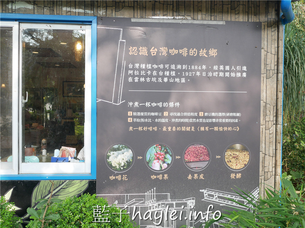 雲林古坑/谷泉咖啡莊園-MIT正港台灣咖啡在這啦!預約可體驗採收咖啡、日曬烘烤咖啡、品嘗咖啡等課程,是全台灣最知名的咖啡教育體驗農場,連星巴克、露易莎等咖啡品牌的員工教育訓練都擇址於此~今天吃什麼/雲林美食/雲林咖啡/古坑咖啡/荷苞山/專業咖啡體驗教育課程/藍子愛美食 健康養身 國內旅遊 攝影 民生資訊分享 自己動手做! 飲食集錦