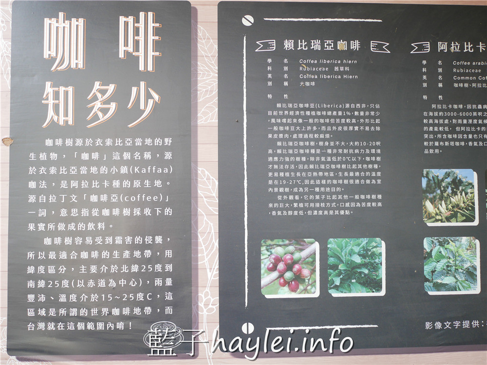雲林古坑/谷泉咖啡莊園-MIT正港台灣咖啡在這啦!預約可體驗採收咖啡、日曬烘烤咖啡、品嘗咖啡等課程,是全台灣最知名的咖啡教育體驗農場,連星巴克、露易莎等咖啡品牌的員工教育訓練都擇址於此~今天吃什麼/雲林美食/雲林咖啡/古坑咖啡/荷苞山/專業咖啡體驗教育課程/藍子愛美食 健康養身 國內旅遊 攝影 民生資訊分享 自己動手做! 飲食集錦