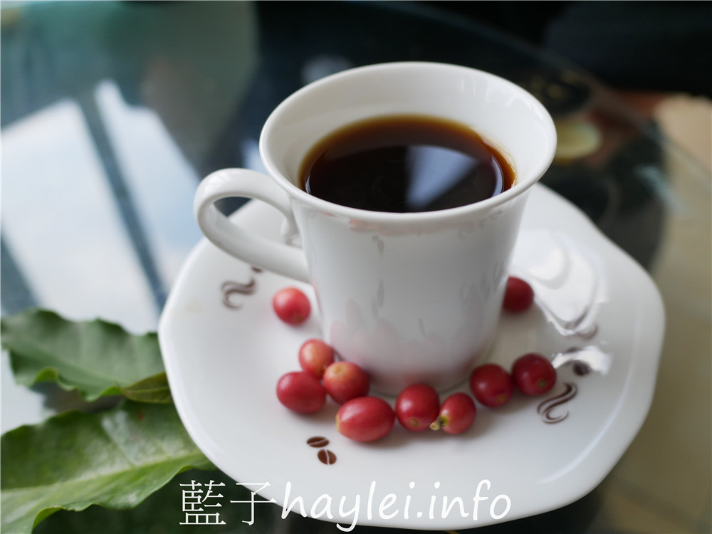 雲林古坑/鄉村休閒農莊-咖啡美景兩兼得，宛如世外桃源般地自然山間景觀加上風雅庭園造景，來這邊休憩喝杯咖啡放鬆一下真是享受～今天吃什麼/雲林美食/雲林景點/雲林古坑華山住宿/雲林咖啡/藍子愛美食 健康養身 國內旅遊 攝影 民生資訊分享 飲食集錦 