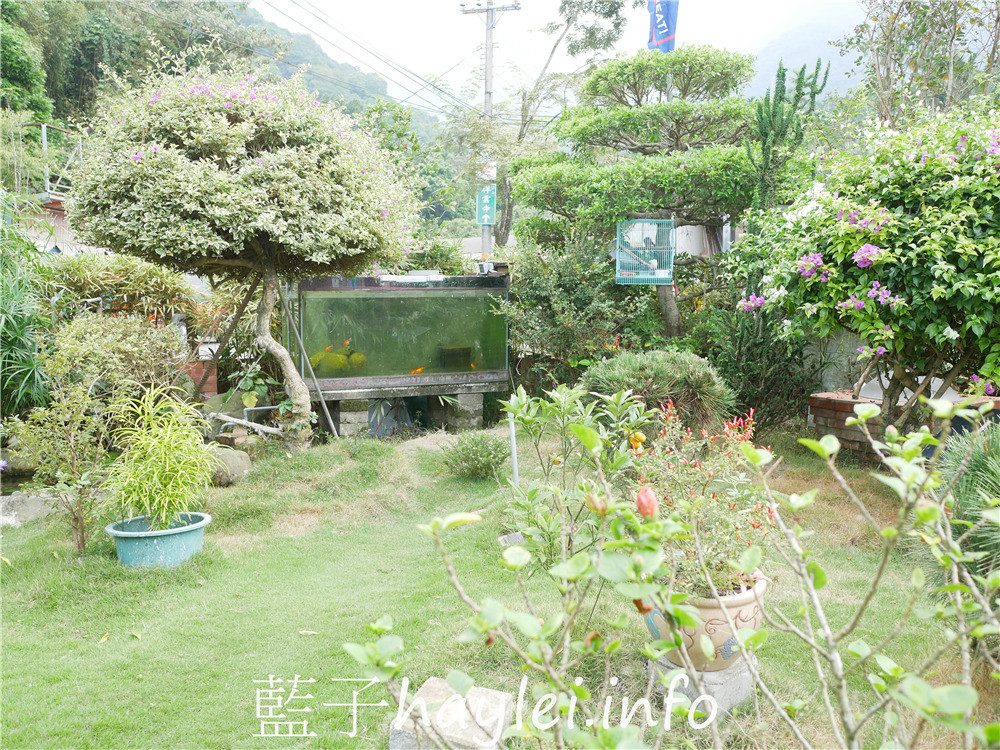 雲林古坑/老吳咖啡(雲林華山老吳莊園)-在舒適的環境喝著烘焙大師調製出的特等獎咖啡，邊吃著黑糖咖啡餅，享受美好下午茶時光！今天吃什麼/雲林美食/雲林景點/雲林咖啡/古坑咖啡/華山咖啡/台灣咖啡/MIT coffee/藍子愛美食 中式料理 健康養身 國內旅遊 攝影 民生資訊分享 飲食集錦 
