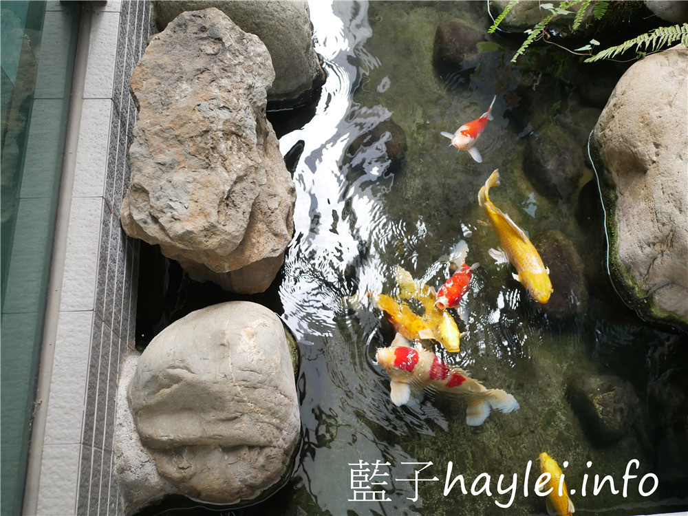 嘉義中埔/新象園日式料理-近嘉義大學的大型宴會餐廳,創意無國界料理合菜料理豐富有特色,來用餐感受老總鋪師的用心吧!今天吃什麼/嘉義美食/嘉義旅遊/嘉義桌菜/嘉義創意料理/嘉義合菜/嘉義新象園/嘉義團餐/嘉義尾牙春酒/嘉義喜宴/婚宴聚餐謝師宴/料理東西軍/藍子愛美食 中式料理 國內旅遊 攝影 民生資訊分享 飲食集錦