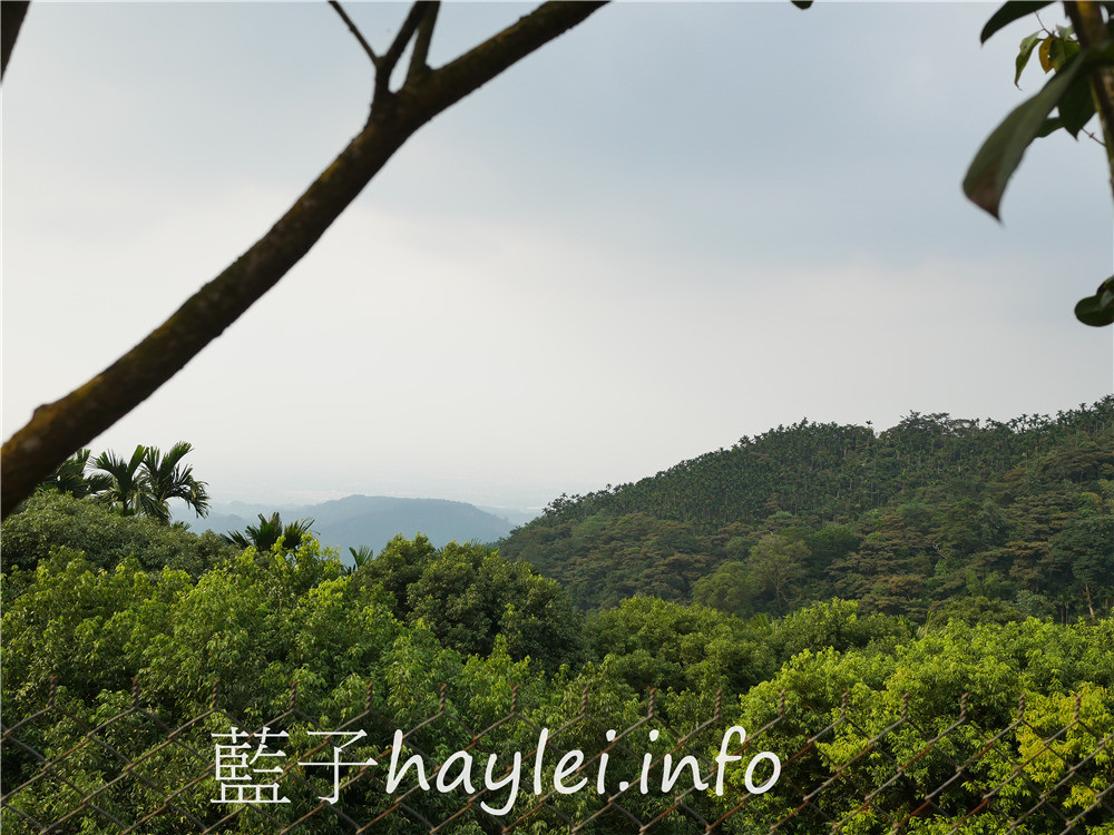 雲林古坑/仙地咖啡-華山最高景觀咖啡廳,可以遠眺台灣七縣市夜景,沐浴在自然環境中受芬多精的洗禮,悠閒享受午後時光,品味古坑咖啡、簡餐、火鍋、下午茶等美食~今天吃什麼/雲林美食/雲林景點/古坑華山/華山景點/華山咖啡廳/雲林景觀咖啡廳/雲林露營場地/華山咖啡園區/藍子愛美食 中式料理 健康養身 國內旅遊 攝影 民生資訊分享 飲食集錦