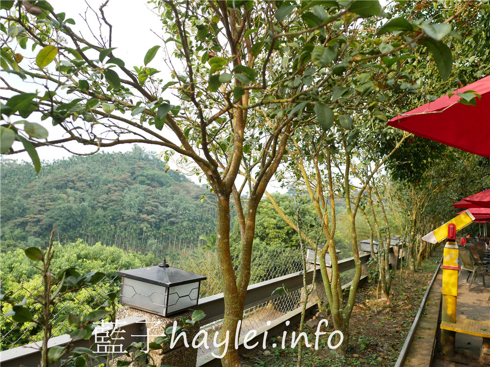 雲林古坑/仙地咖啡-華山最高景觀咖啡廳,可以遠眺台灣七縣市夜景,沐浴在自然環境中受芬多精的洗禮,悠閒享受午後時光,品味古坑咖啡、簡餐、火鍋、下午茶等美食~今天吃什麼/雲林美食/雲林景點/古坑華山/華山景點/華山咖啡廳/雲林景觀咖啡廳/雲林露營場地/華山咖啡園區/藍子愛美食 中式料理 健康養身 國內旅遊 攝影 民生資訊分享 飲食集錦