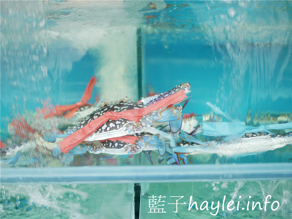 嘉義太保/上合味海鮮燒烤快炒-棒球三街彩虹廣場美食,精通海鮮、燒烤、熱炒等美食料理,食材新鮮,手藝精湛,價位平價,美味非凡,很值得來訪品嚐~近向日葵汽車旅館!今天吃什麼/嘉義美食/太保美食/嘉義好味道/嘉義人帶路/巷仔內美食/生猛海鮮/熱炒合菜/上合味快炒/藍子愛美食 中式料理 國內旅遊 攝影 民生資訊分享 飲食集錦