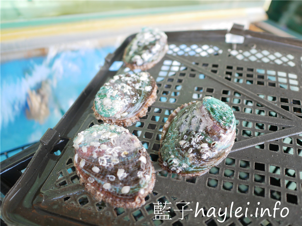 嘉義太保/上合味海鮮燒烤快炒-棒球三街彩虹廣場美食,精通海鮮、燒烤、熱炒等美食料理,食材新鮮,手藝精湛,價位平價,美味非凡,很值得來訪品嚐~近向日葵汽車旅館!今天吃什麼/嘉義美食/太保美食/嘉義好味道/嘉義人帶路/巷仔內美食/生猛海鮮/熱炒合菜/上合味快炒/藍子愛美食 中式料理 國內旅遊 攝影 民生資訊分享 飲食集錦