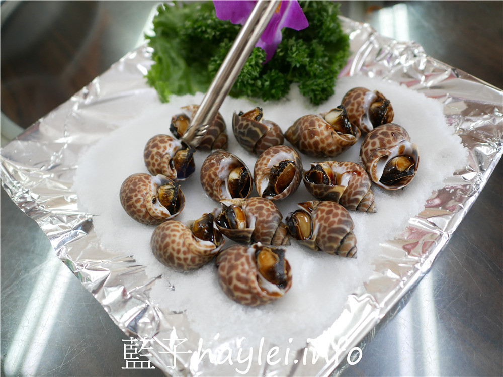 嘉義布袋/龍彬海鮮餐廳(嘉義布袋龍彬活海產)-新鮮實在的海鮮料理,來訪布袋漁港必吃美食!海香螺、烤鳳螺、鹽酥海鱺魚、烏魚膘、花蟹、烏魚子炒飯等海味美食推薦必吃~今天吃什麼/嘉義美食/嘉義旅遊/布袋美食/布袋港美食/海鮮熱炒/台菜熱炒/現撈仔/生猛海鮮/合菜餐廳/桌菜美食/藍子愛美食 中式料理 國內旅遊 攝影 民生資訊分享 飲食集錦