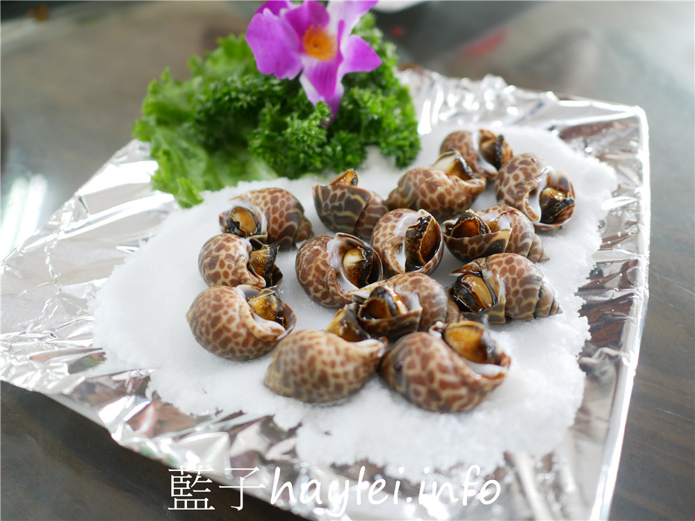 嘉義布袋/龍彬海鮮餐廳(嘉義布袋龍彬活海產)-新鮮實在的海鮮料理,來訪布袋漁港必吃美食!海香螺、烤鳳螺、鹽酥海鱺魚、烏魚膘、花蟹、烏魚子炒飯等海味美食推薦必吃~今天吃什麼/嘉義美食/嘉義旅遊/布袋美食/布袋港美食/海鮮熱炒/台菜熱炒/現撈仔/生猛海鮮/合菜餐廳/桌菜美食/藍子愛美食 中式料理 國內旅遊 攝影 民生資訊分享 飲食集錦