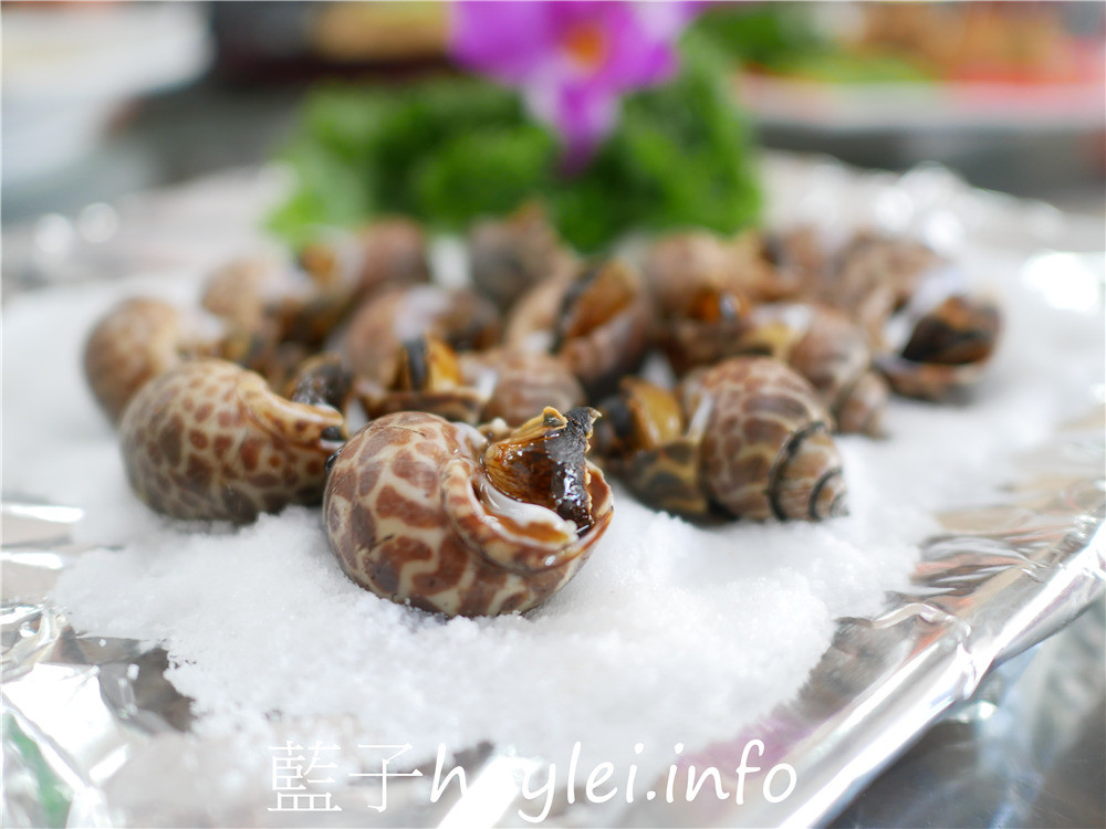 嘉義布袋/龍彬海鮮餐廳(嘉義布袋龍彬活海產)-新鮮實在的海鮮料理,來訪布袋漁港必吃美食!海香螺、烤鳳螺、鹽酥海鱺魚、烏魚膘、花蟹、烏魚子炒飯等海味美食推薦必吃~今天吃什麼/嘉義美食/嘉義旅遊/布袋美食/布袋港美食/海鮮熱炒/台菜熱炒/現撈仔/生猛海鮮/合菜餐廳/桌菜美食/藍子愛美食 中式料理 國內旅遊 攝影 民生資訊分享 飲食集錦