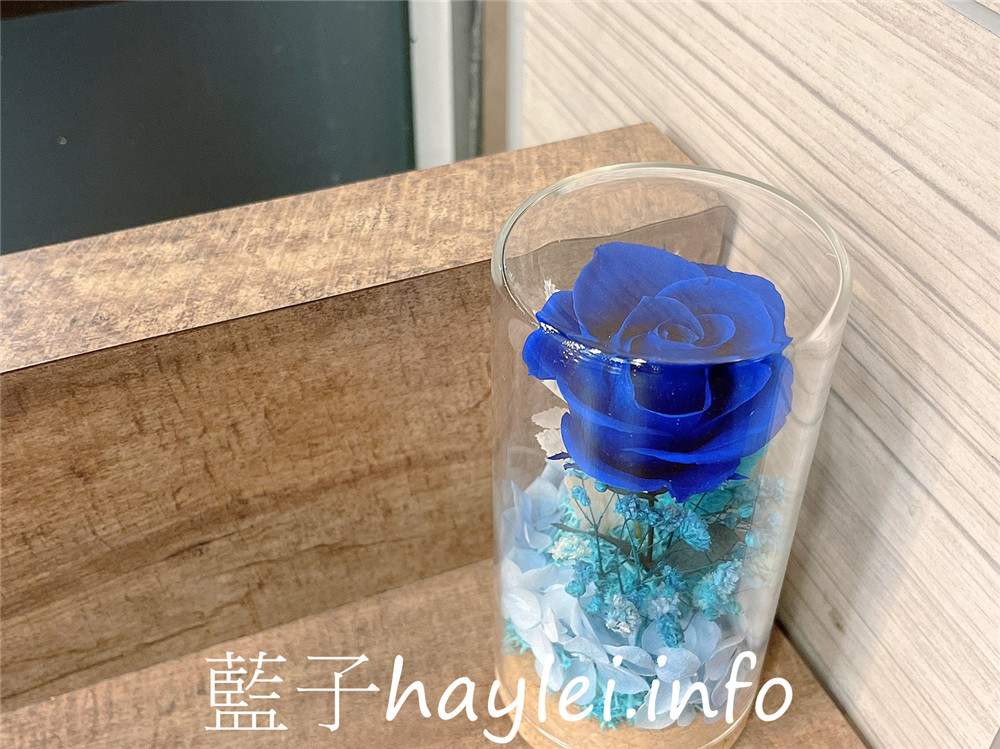 婕琳花藝/台中花藝設計布置專家-帶著溫暖的祝福走進你心底!專業花藝師使用永不凋謝的永生花手工製作,寓意著美好永遠不衰,美觀好看且不用特別打理就能維持美麗,是居家裝潢布置、開幕送禮的好選擇!居家生活/生活好物/裝置藝術/家飾擺設/鮮花客製/婚禮布置/花盆、花束送禮/藍子愛分享 攝影 民生資訊分享 自己動手做!