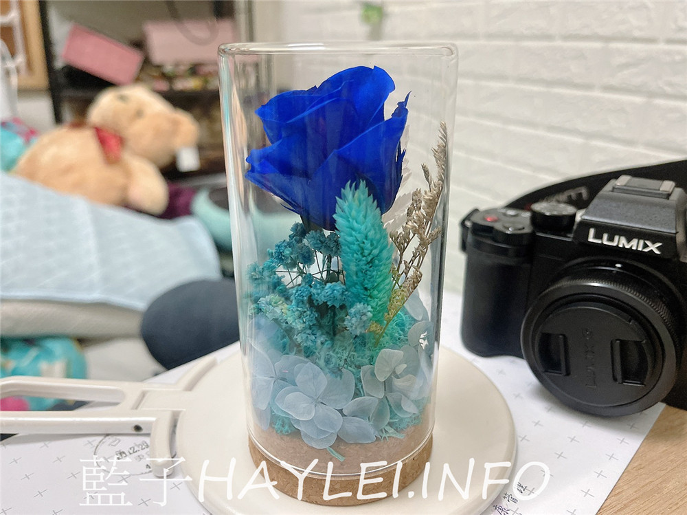 婕琳花藝/台中花藝設計布置專家-帶著溫暖的祝福走進你心底!專業花藝師使用永不凋謝的永生花手工製作,寓意著美好永遠不衰,美觀好看且不用特別打理就能維持美麗,是居家裝潢布置、開幕送禮的好選擇!居家生活/生活好物/裝置藝術/家飾擺設/鮮花客製/婚禮布置/花盆、花束送禮/藍子愛分享 攝影 民生資訊分享 自己動手做!