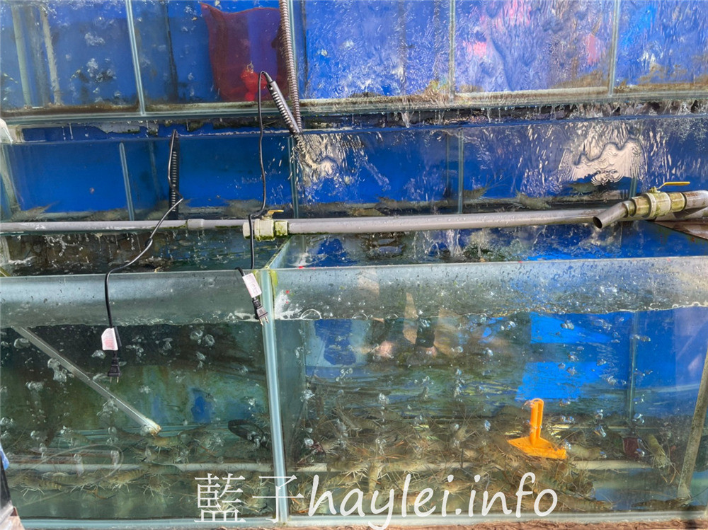 台中西屯區/台中年菜外帶2021/漁人船釣海鮮餐廳-新鮮實惠的台中外帶年菜,六道2980、八道3980、十道5000,精緻美味的道地台味,一吃就能感受滿滿年味!超好康的讀者優惠不容錯過~憑本文內用點清湯羊肉爐打卡送白斬鵝肉!一公斤的筍仔糕外帶自取買十送一,冷凍宅配買十免運。台中美食/台中年菜餐廳推薦/台中年菜/台中養生補湯推薦/台中羊肉爐/快樂羊咩咩牧場/吃蘋果長大的羊/台中羊肉美食/藍子愛美食 中式料理 國內旅遊 攝影 民生資訊分享 飲食集錦