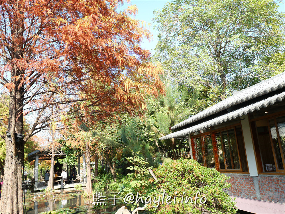 台中南屯/田寮農莊-台中神秘餐廳！在落羽松庭園造景的台式田園農莊風景觀餐廳品味古早味農家菜！鄰近台中高鐵站，開車方便有停車場～台中美食/台中景點/台中餐廳/農家樂/台中熱門餐廳/落羽松景點/台中旅遊/台中農村風餐廳/藍子愛美食 中式料理 國內旅遊 攝影 民生資訊分享 飲食集錦 