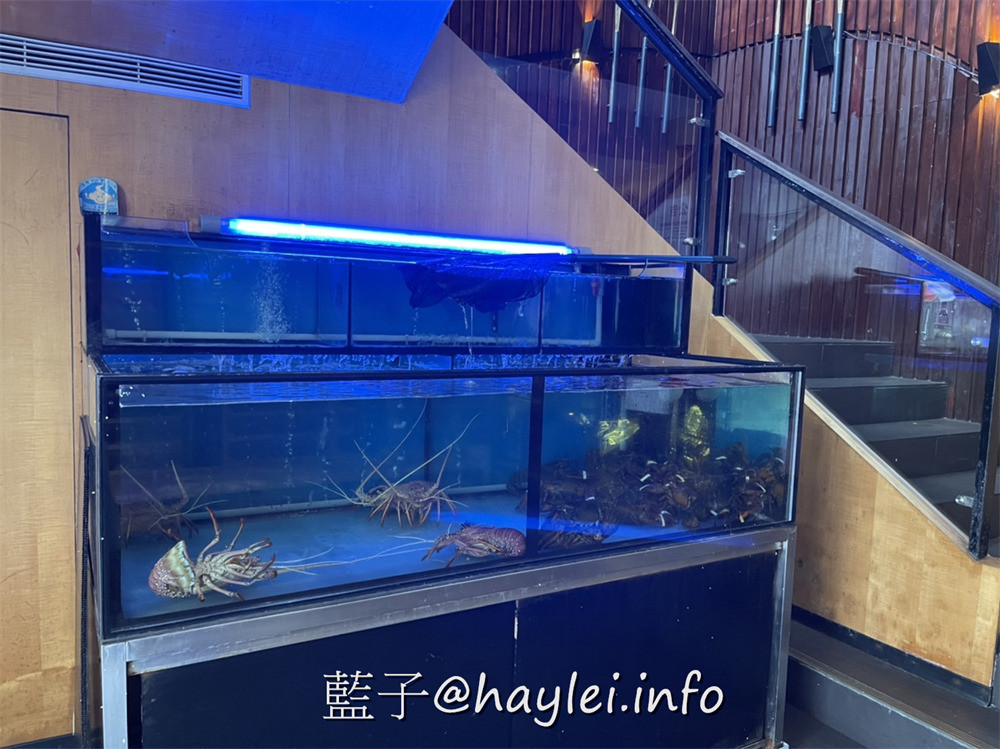台北松山/無菜單料理-超人氣無菜單鐵板燒【明水然】-來自全台最大火鍋集團樂多多,嚴謹主廚匠心料理超美味,牛排鮮嫩且龍蝦肉質Q彈,桌邊服務體貼細微超感心,1390起品嚐菲力牛排&波士頓龍蝦海陸大餐,CP值超高,再訪率滿滿!台北美食/南京復興站/慶城街/肉多多火鍋姊妹品牌/藍子愛美食 中式料理 國內旅遊 攝影 日式料理 民生資訊分享 美式料理 飲食集錦