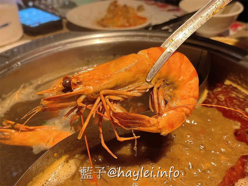 台中西區/廣三SOGO/滿堂紅頂級麻辣鴛鴦鍋-自行熬煮的麻辣湯必點，現切白金級美國牛肉，牛小排油花細緻美麗、比臉大的霜降牛，哈根達斯跟蜂鳥冰淇淋飯後必吃，加價188還能享巨無霸黑鑽草蝦跟澳洲和牛等頂級美食通通吃到飽，難怪回客率滿滿~台中美食/台中火鍋吃到飽/台中麻辣鍋/藍子愛美食 中式料理 攝影 民生資訊分享 飲食集錦 