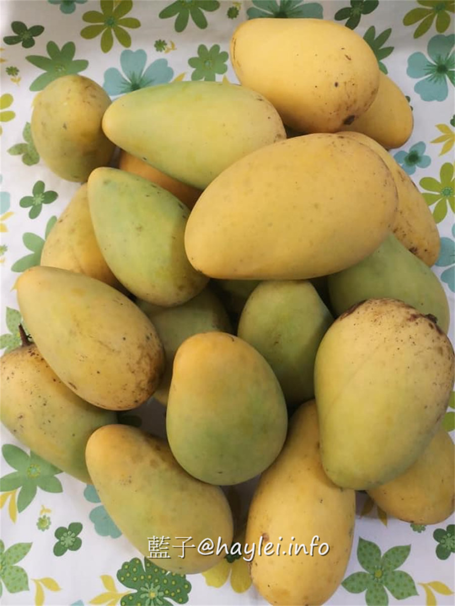 彰化田中農旅e起來－線上預約食農教育+DIY體驗250起，彰化高鐵下車就能開始遊遍寶大蜜麻花、禾果農園、田中窯、玉米娃娃工作室、梁爸芒果園、畯富農場、菁芩農場、279農場、卓乃潭農場等田中在地農遊景點，20人預約成團就可以安排手工DIY、採果樂、大地野餐等遊程，非常方便好用~彰化美食/彰化旅遊/田中旅遊/農村旅遊/田中農家樂/藍子愛旅遊 國內旅遊 攝影 民生資訊分享 飲食集錦 