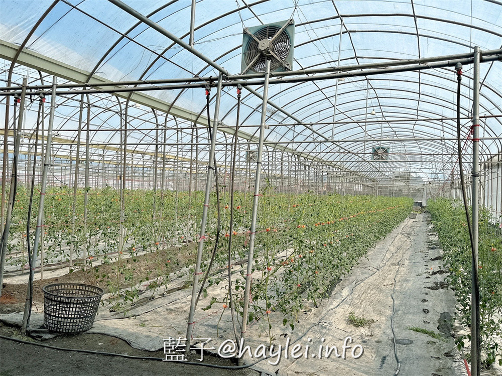 彰化田中農旅e起來－線上預約食農教育+DIY體驗250起，彰化高鐵下車就能開始遊遍寶大蜜麻花、禾果農園、田中窯、玉米娃娃工作室、梁爸芒果園、畯富農場、菁芩農場、279農場、卓乃潭農場等田中在地農遊景點，20人預約成團就可以安排手工DIY、採果樂、大地野餐等遊程，非常方便好用~彰化美食/彰化旅遊/田中旅遊/農村旅遊/田中農家樂/藍子愛旅遊 國內旅遊 攝影 民生資訊分享 飲食集錦 