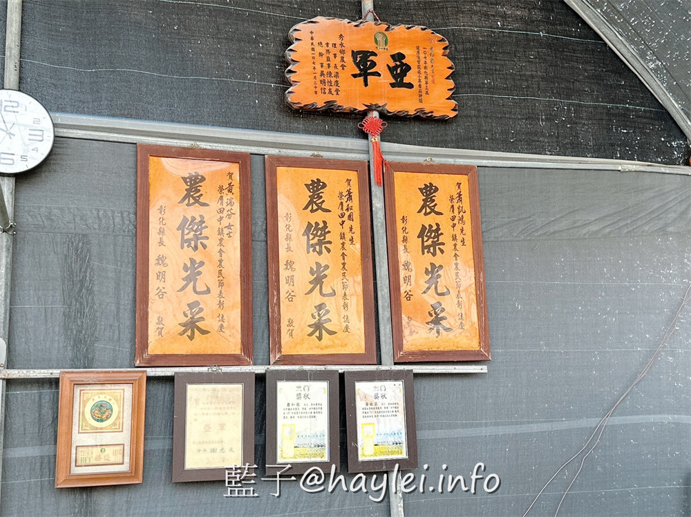 彰化田中農旅e起來－線上預約食農教育+DIY體驗250起，彰化高鐵下車就能開始遊遍寶大蜜麻花、禾果農園、田中窯、玉米娃娃工作室、梁爸芒果園、畯富農場、菁芩農場、279農場、卓乃潭農場等田中在地農遊景點，20人預約成團就可以安排手工DIY、採果樂、大地野餐等遊程，非常方便好用~彰化美食/彰化旅遊/田中旅遊/農村旅遊/田中農家樂/藍子愛旅遊 國內旅遊 攝影 民生資訊分享 飲食集錦 