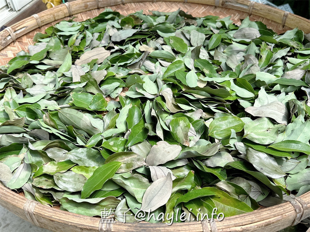 彰化田中農旅e起來－線上預約食農教育+DIY體驗250起，彰化高鐵下車就能開始遊遍寶大蜜麻花、禾果農園、田中窯、玉米娃娃工作室、梁爸芒果園、畯富農場、菁芩農場、279農場、卓乃潭農場等田中在地農遊景點，20人預約成團就可以安排手工DIY、採果樂、大地野餐等遊程，非常方便好用~彰化美食/彰化旅遊/田中旅遊/農村旅遊/田中農家樂/藍子愛旅遊 國內旅遊 攝影 民生資訊分享 飲食集錦 