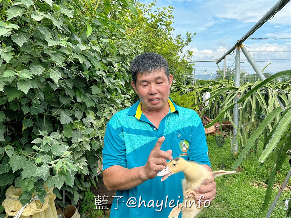 彰化田中農旅e起來－線上預約食農教育+DIY體驗250起，彰化高鐵下車就能開始遊遍寶大蜜麻花、禾果農園、田中窯、玉米娃娃工作室、梁爸芒果園、畯富農場、菁芩農場、279農場、卓乃潭農場等田中在地農遊景點，20人預約成團就可以安排手工DIY、採果樂、大地野餐等遊程，非常方便好用~彰化美食/彰化旅遊/田中旅遊/農村旅遊/田中農家樂/藍子愛旅遊 國內旅遊 攝影 民生資訊分享 飲食集錦 